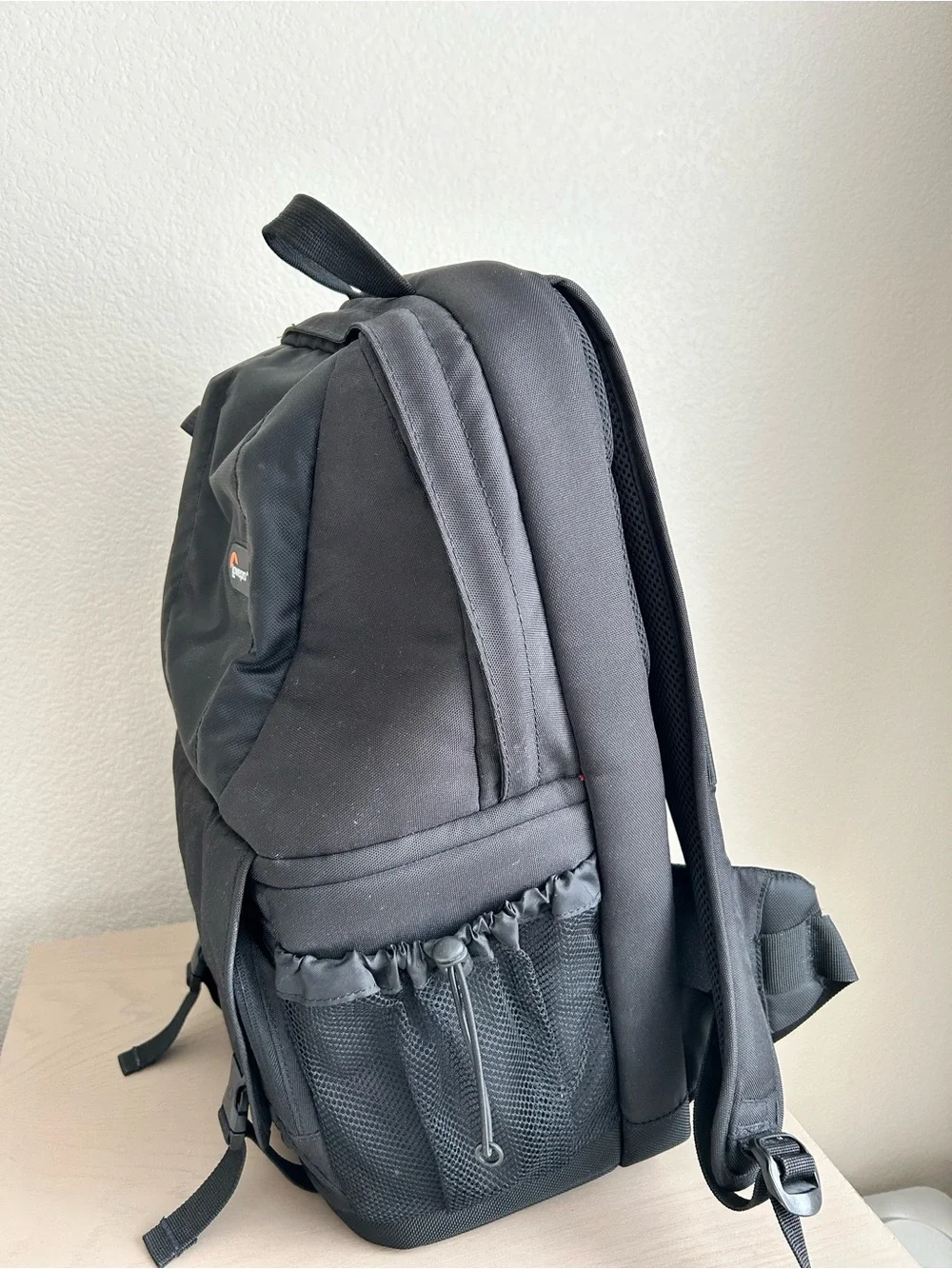 Lowepro Camera Backpack – Black